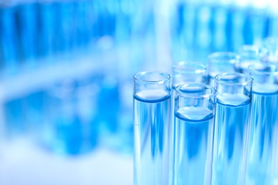 Photo of Test tubes with liquid samples for analysis in laboratory, closeup. Space for text