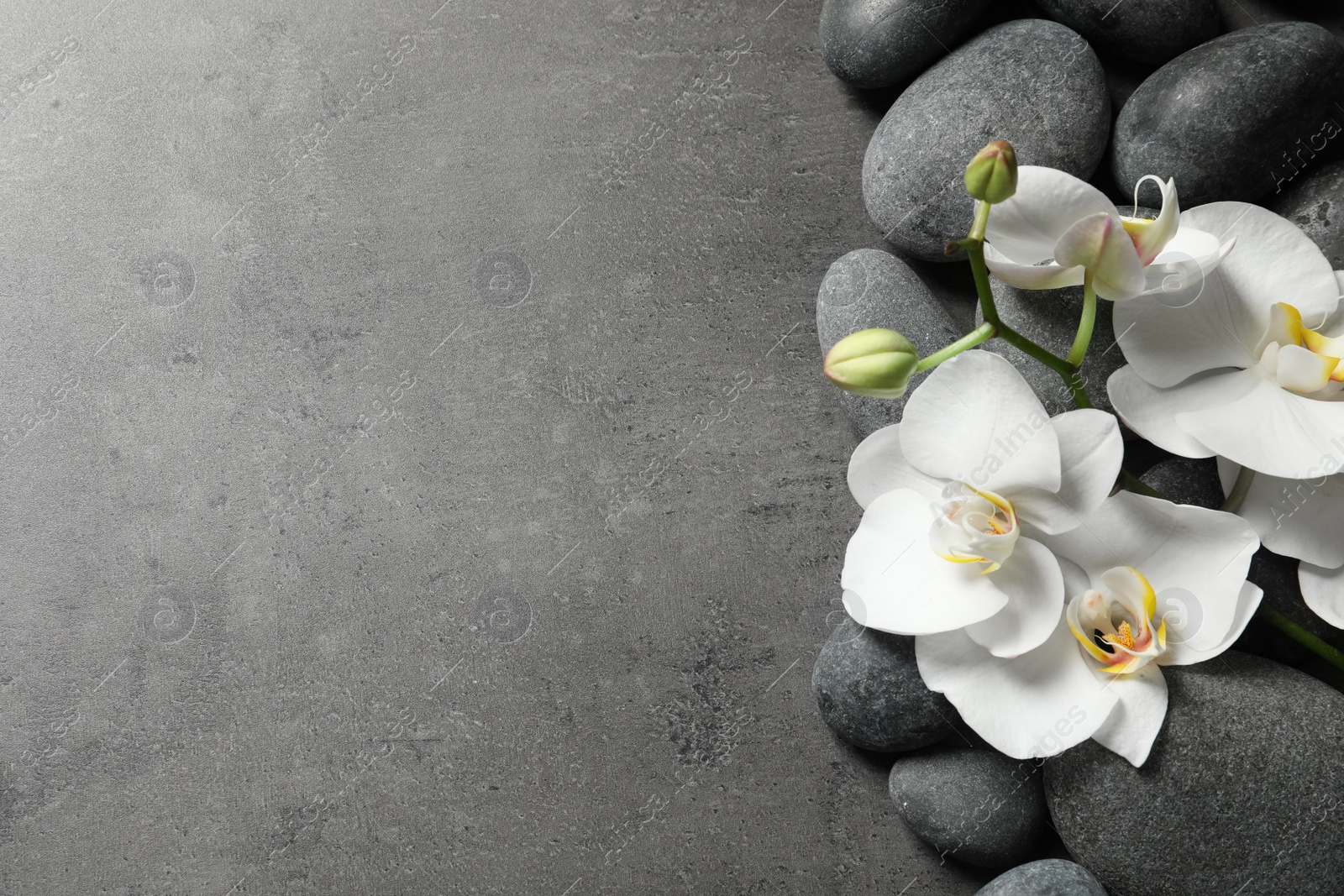 Photo of Flat lay composition with spa stones and orchid flowers on grey background. Space for text