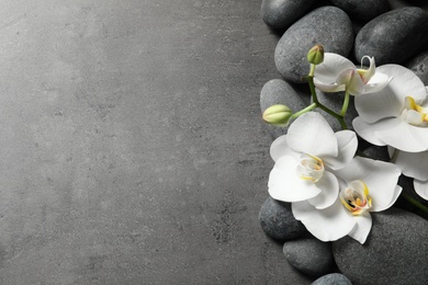 Flat lay composition with spa stones and orchid flowers on grey background. Space for text