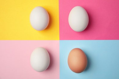 Photo of Raw chicken eggs on color background, top view