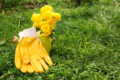 Photo of Watering can with flowers and yellow gardening gloves on grass outdoors, space for text