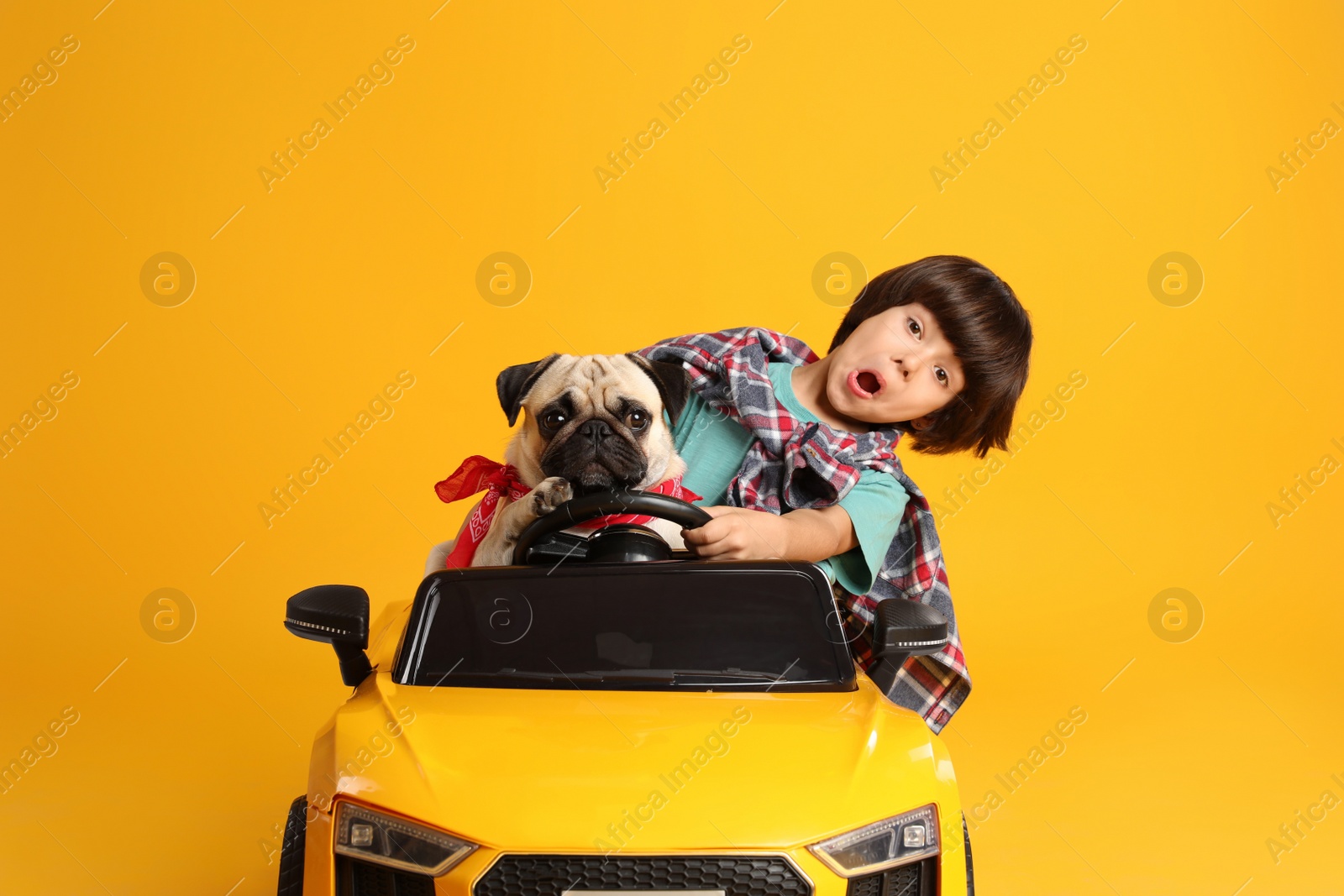 Photo of Little boy with his dog in toy car on yellow background