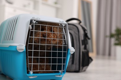 Photo of Travel with pet. Cute dog in carrier on floor indoors, space for text