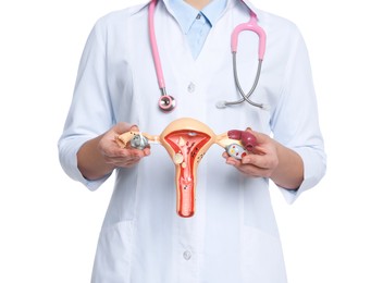 Doctor demonstrating model of female reproductive system on white background, closeup. Gynecological care