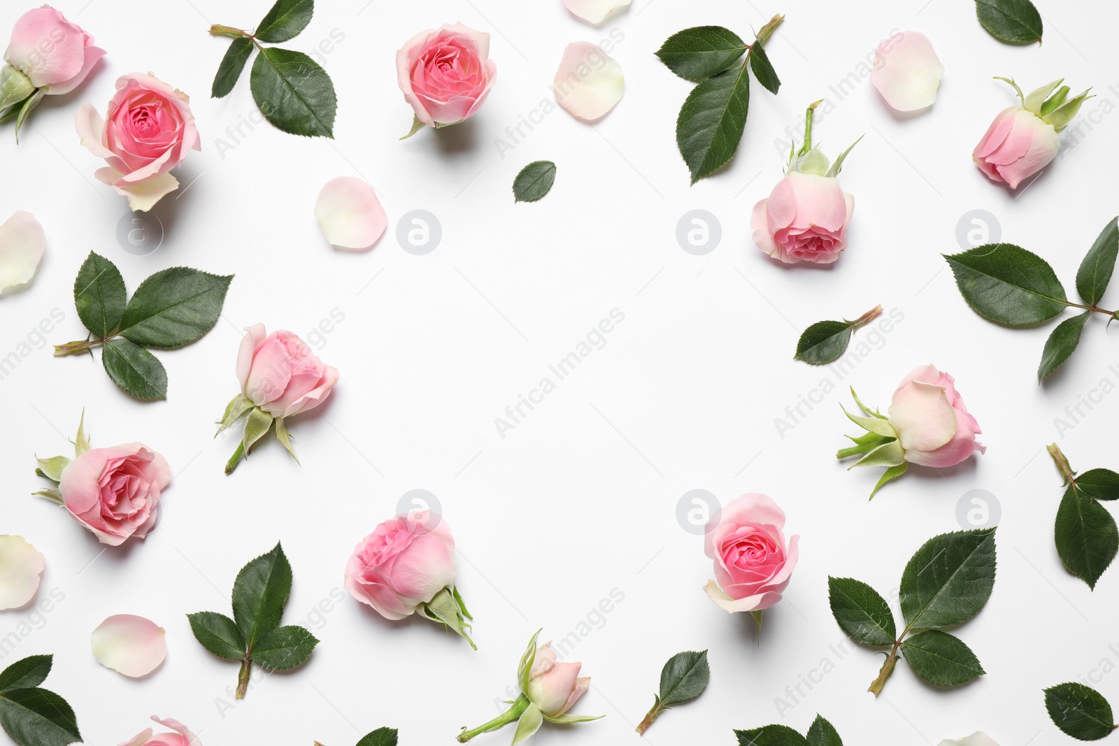 Photo of Frame made of beautiful flowers on white background, top view with space for text. Floral card design