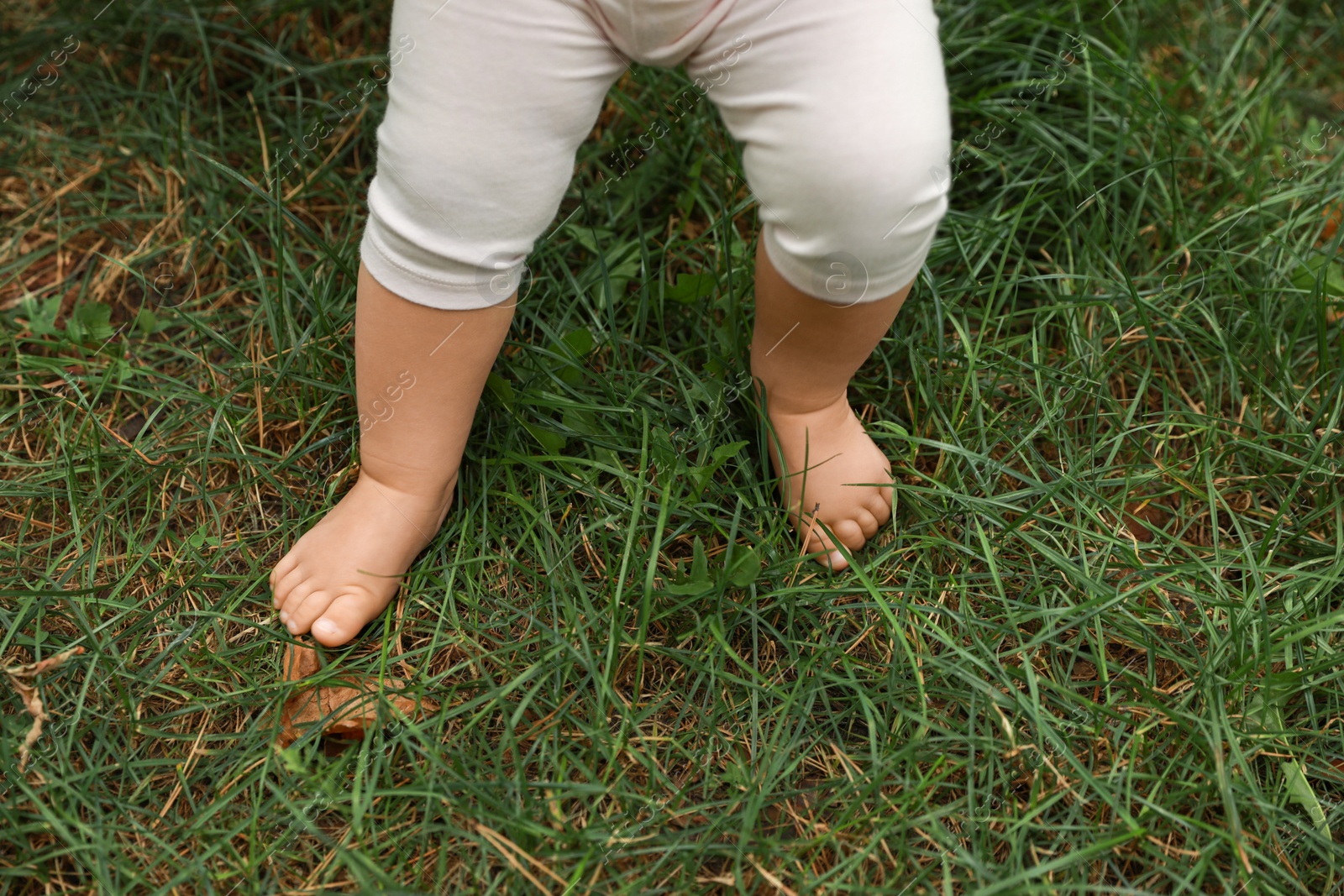 Photo of Little child walking on green grass outdoors, closeup