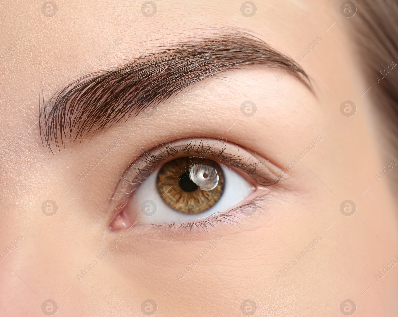 Photo of Beautiful woman with perfect eyebrow, closeup