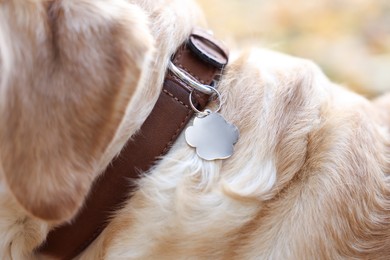 Photo of Dog in collar with metal tag outdoors, closeup