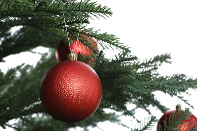 Photo of Beautiful Christmas tree with red baubles on white background, closeup