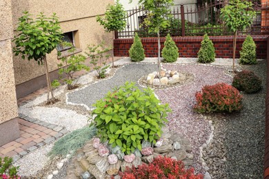 Beautiful gravel garden with different plants in yard