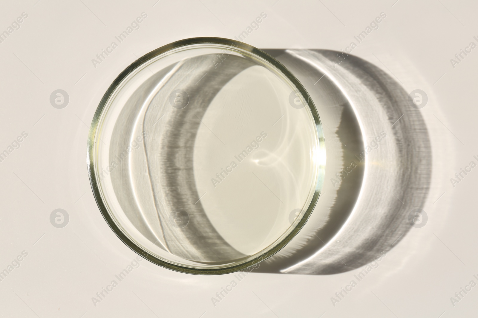 Photo of Petri dish with liquid sample on light background, top view