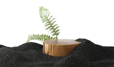 Photo of Presentation of product. Wooden podium and green branches on black sand against white background