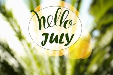 Hello July. Blurred view of palm leaves on sunny day outdoors