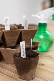 Many peat pots with cards of vegetable names on wooden table indoors. Growing seeds
