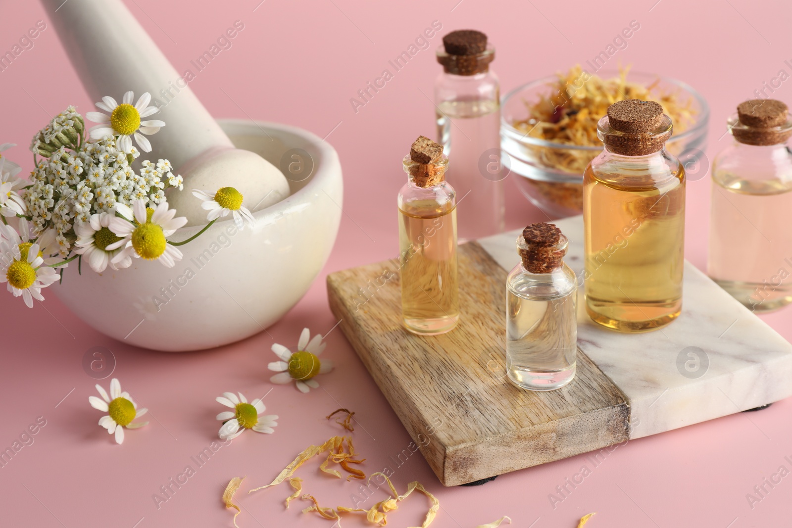 Photo of Aromatherapy. Different essential oils and flowers on pink background