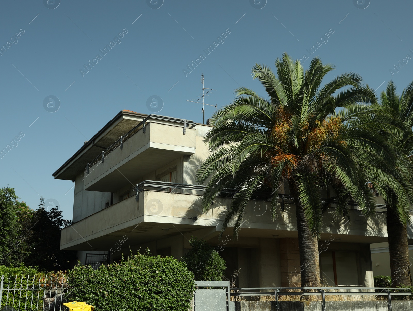 Photo of Beautiful palm trees and residential building with balconies on sunny day