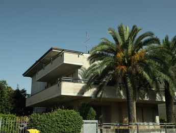 Beautiful palm trees and residential building with balconies on sunny day