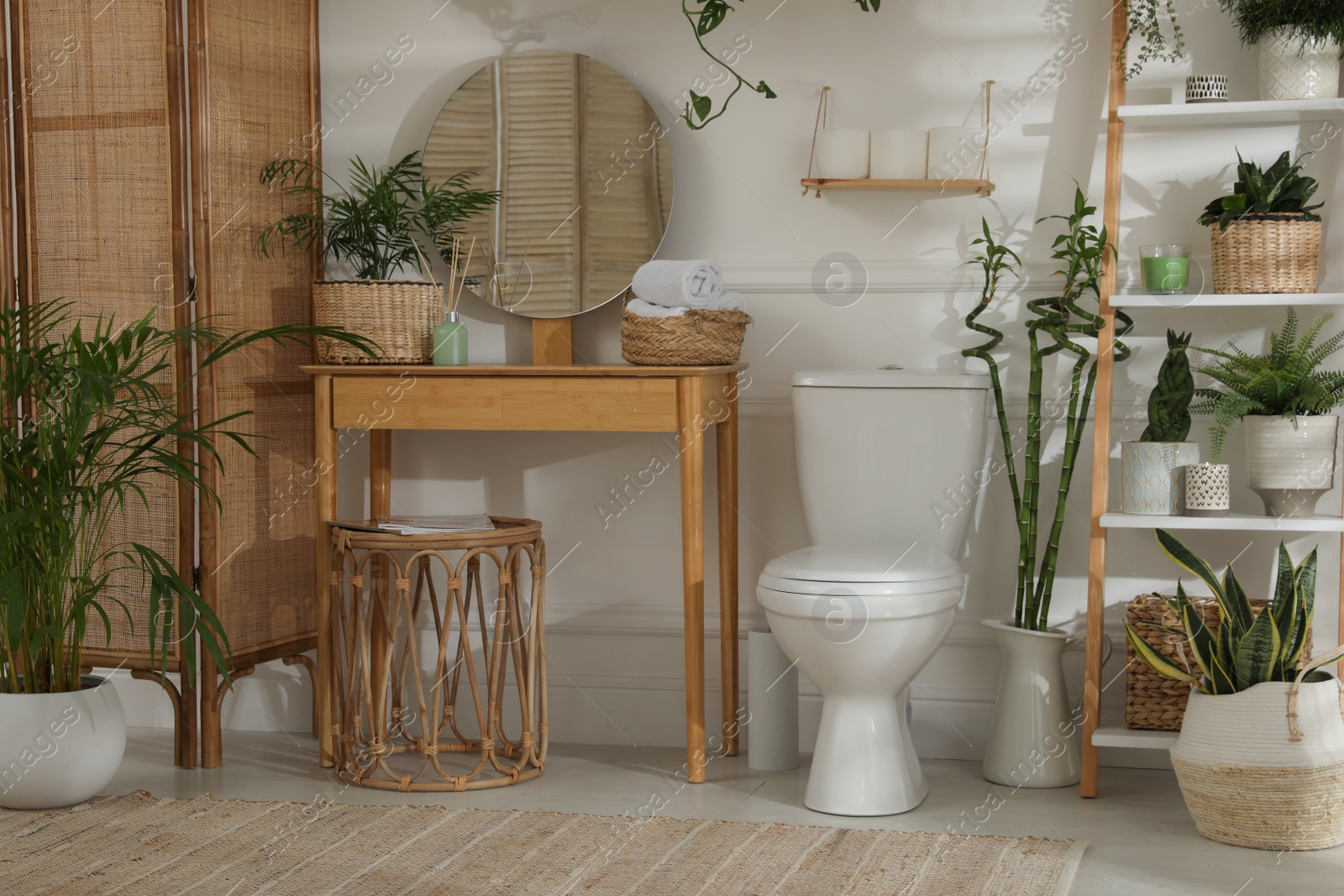 Photo of Stylish bathroom interior with toilet bowl and many beautiful houseplants