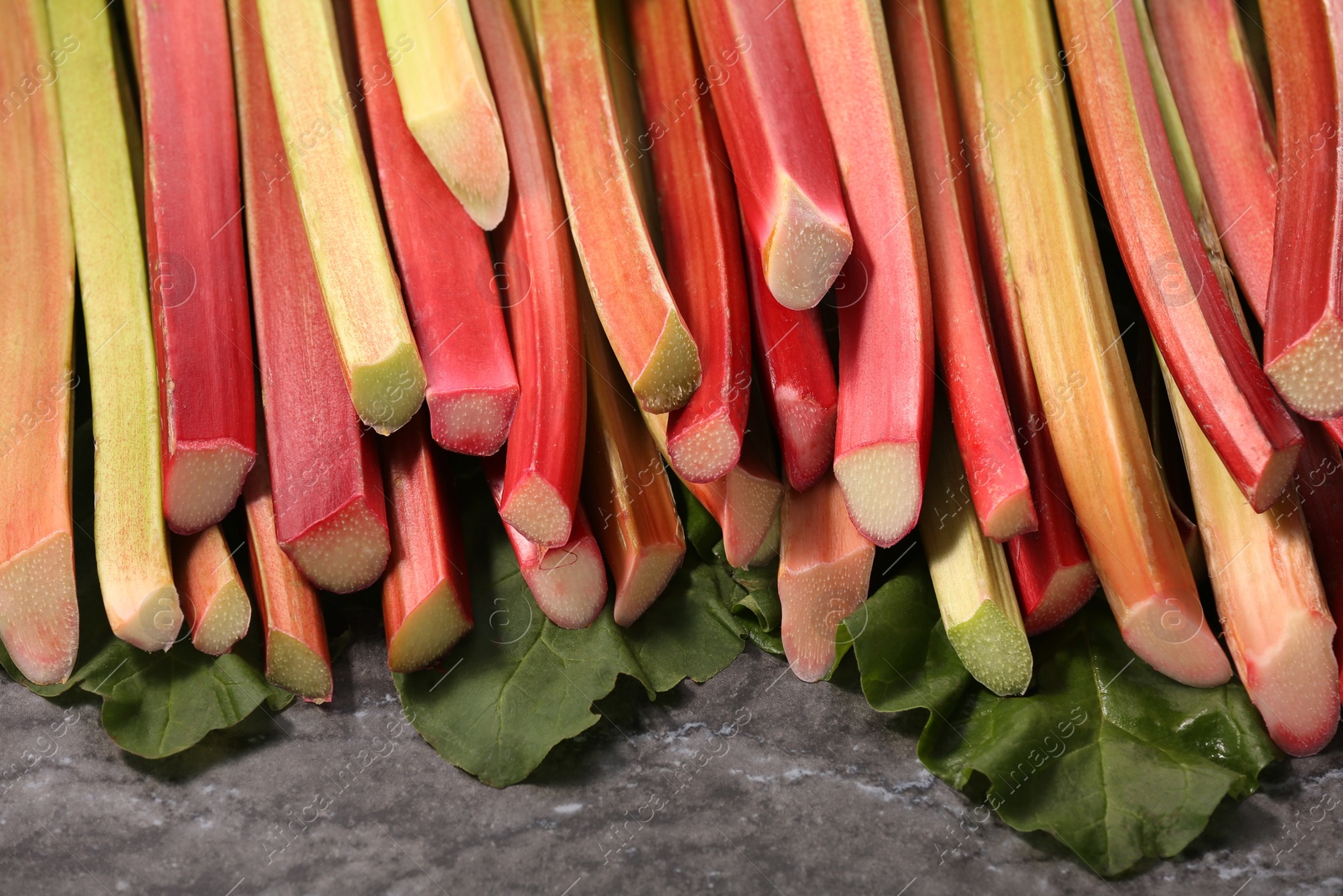 Photo of Many ripe rhubarb stalks and leaves on dark table, closeup