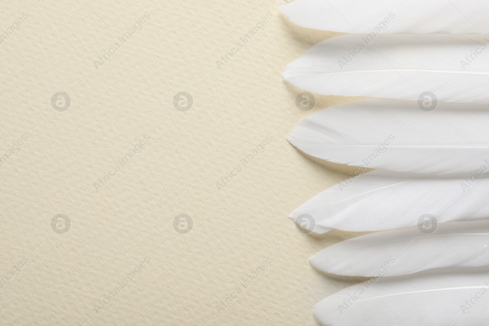 Photo of Beautiful white bird feathers on beige background, flat lay. Space for text