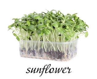 Image of Fresh organic microgreen in plastic container on white background