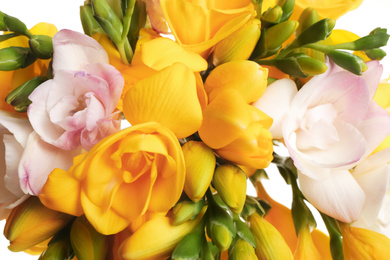 Photo of Bouquet of beautiful freesia flowers on white background, closeup