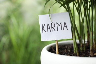 Photo of Sign with word Karma and plant in pot on blurred background, closeup. Space for text