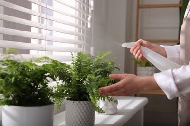 Photo of Woman spraying fern on window sill indoors, closeup