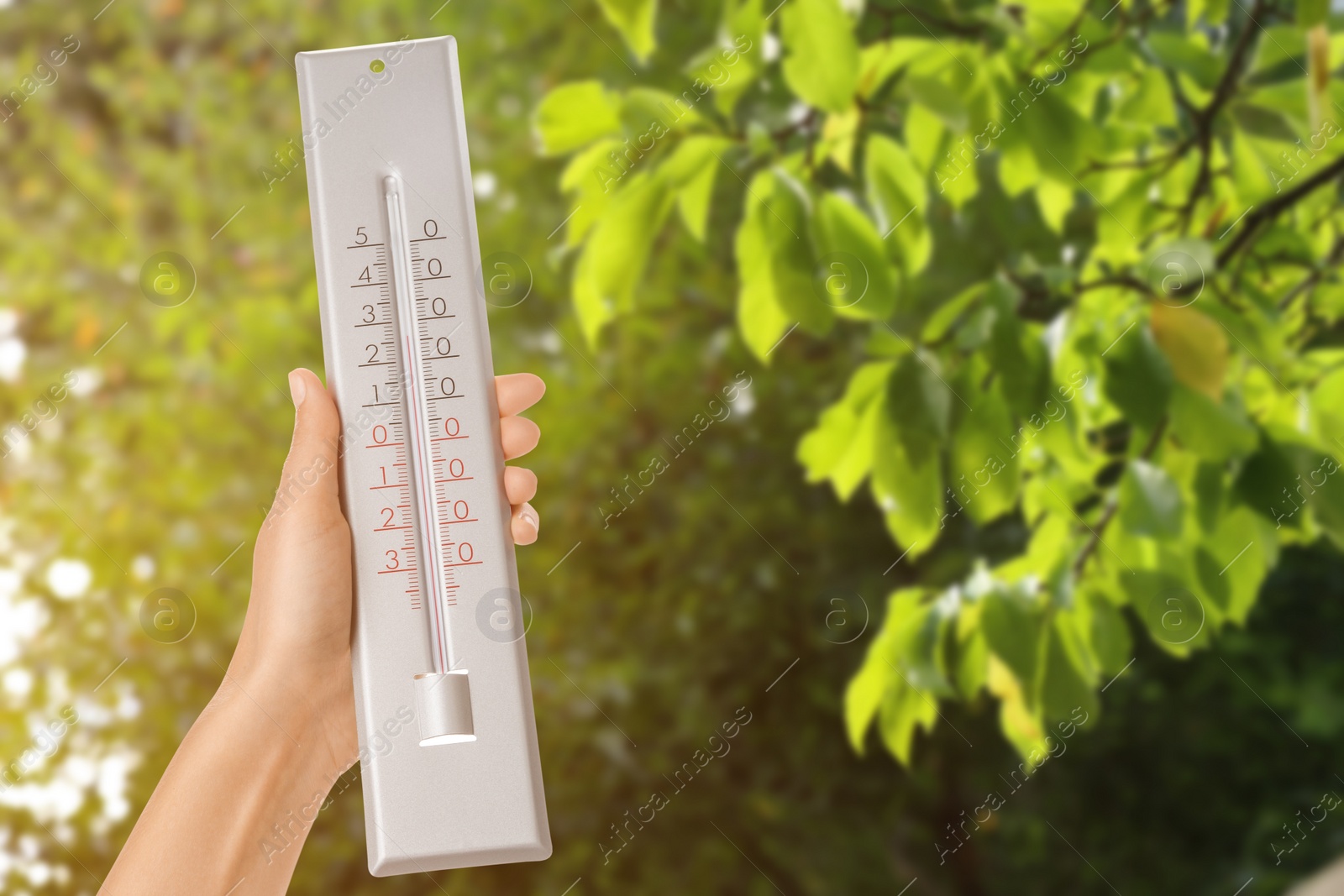 Image of Woman holding thermometer outdoors in spring, closeup