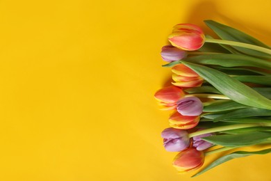 Many beautiful tulips on yellow background, flat lay. Space for text