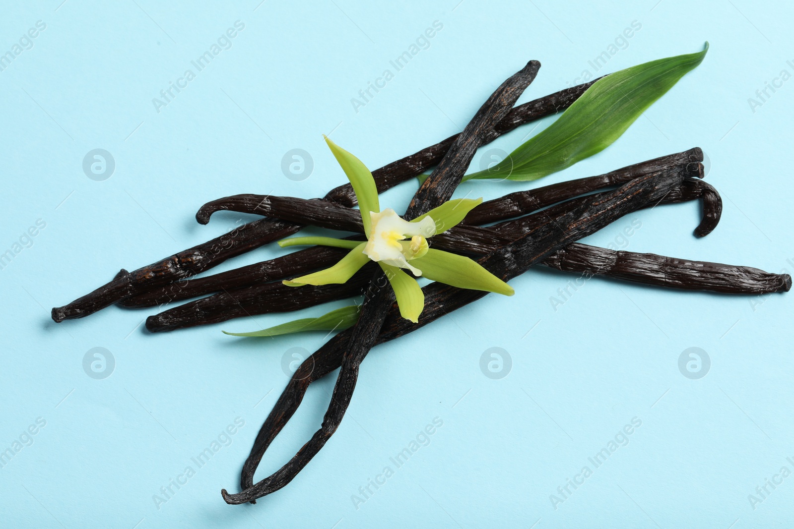 Photo of Vanilla pods, beautiful flower and green leaves on light blue background, top view