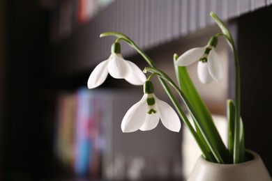 Photo of Vase with beautiful snowdrops indoors, closeup. Spring flowers