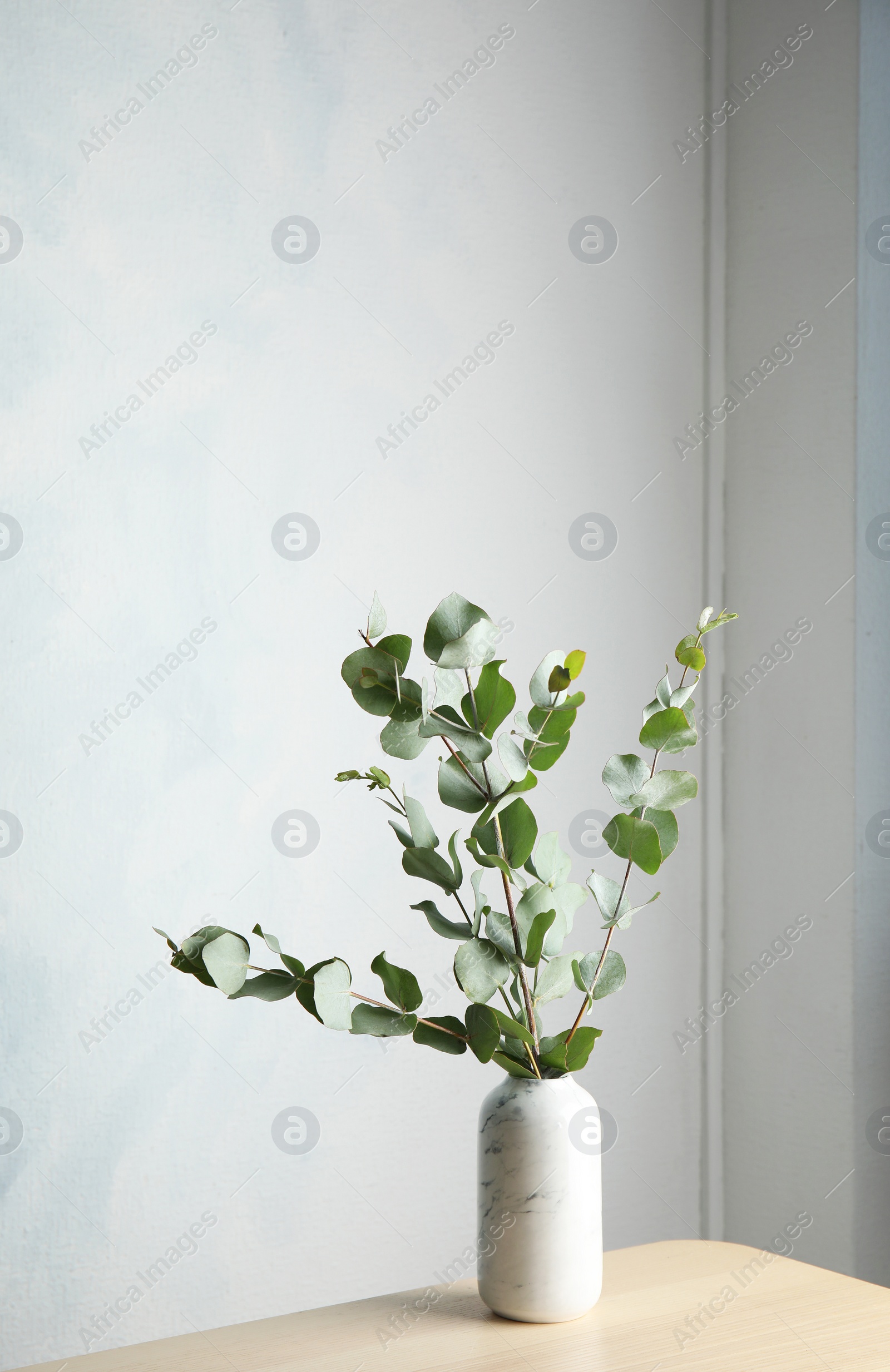 Photo of Bunch of eucalyptus branches with fresh leaves in vase on table