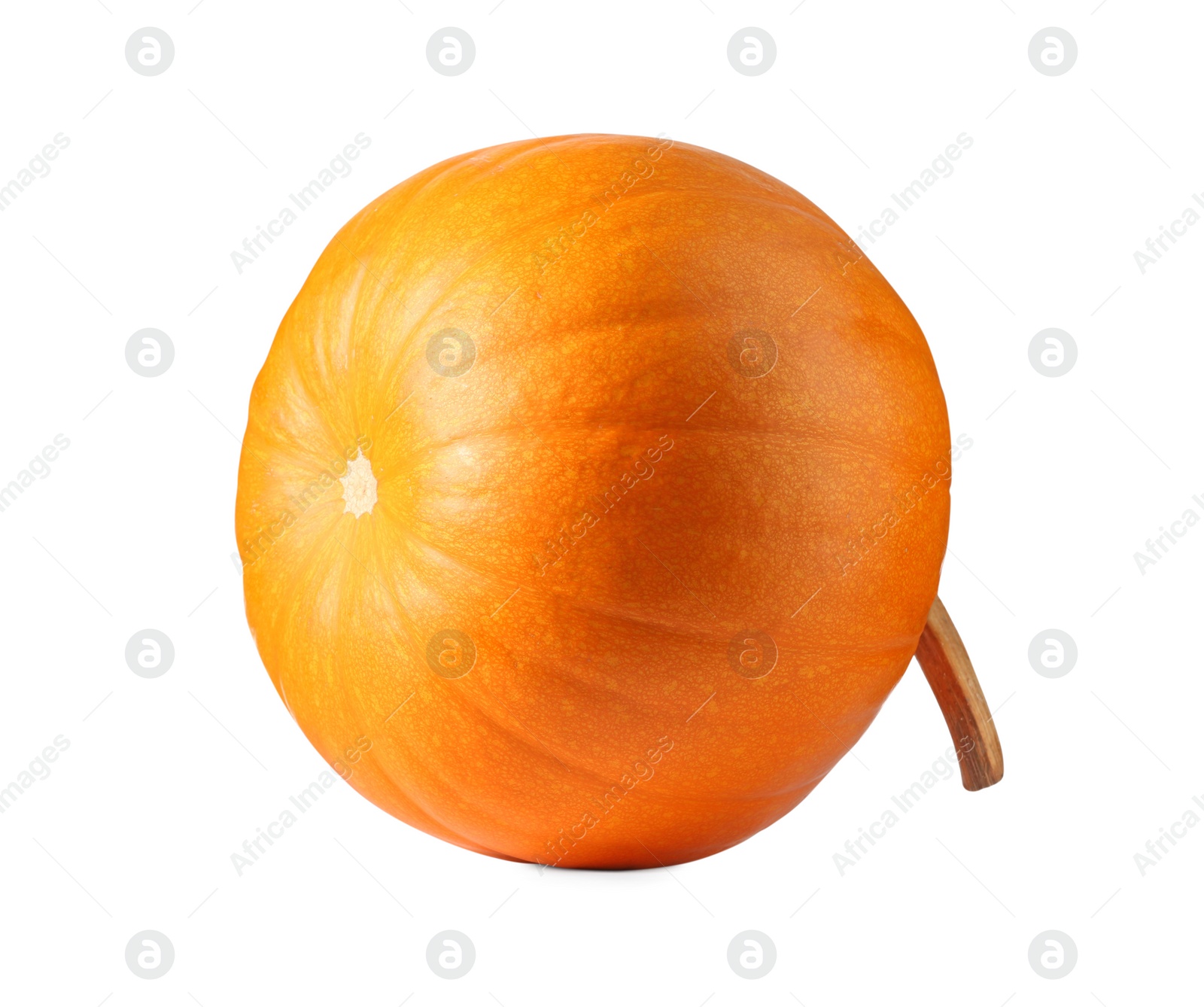 Photo of One fresh orange pumpkin isolated on white