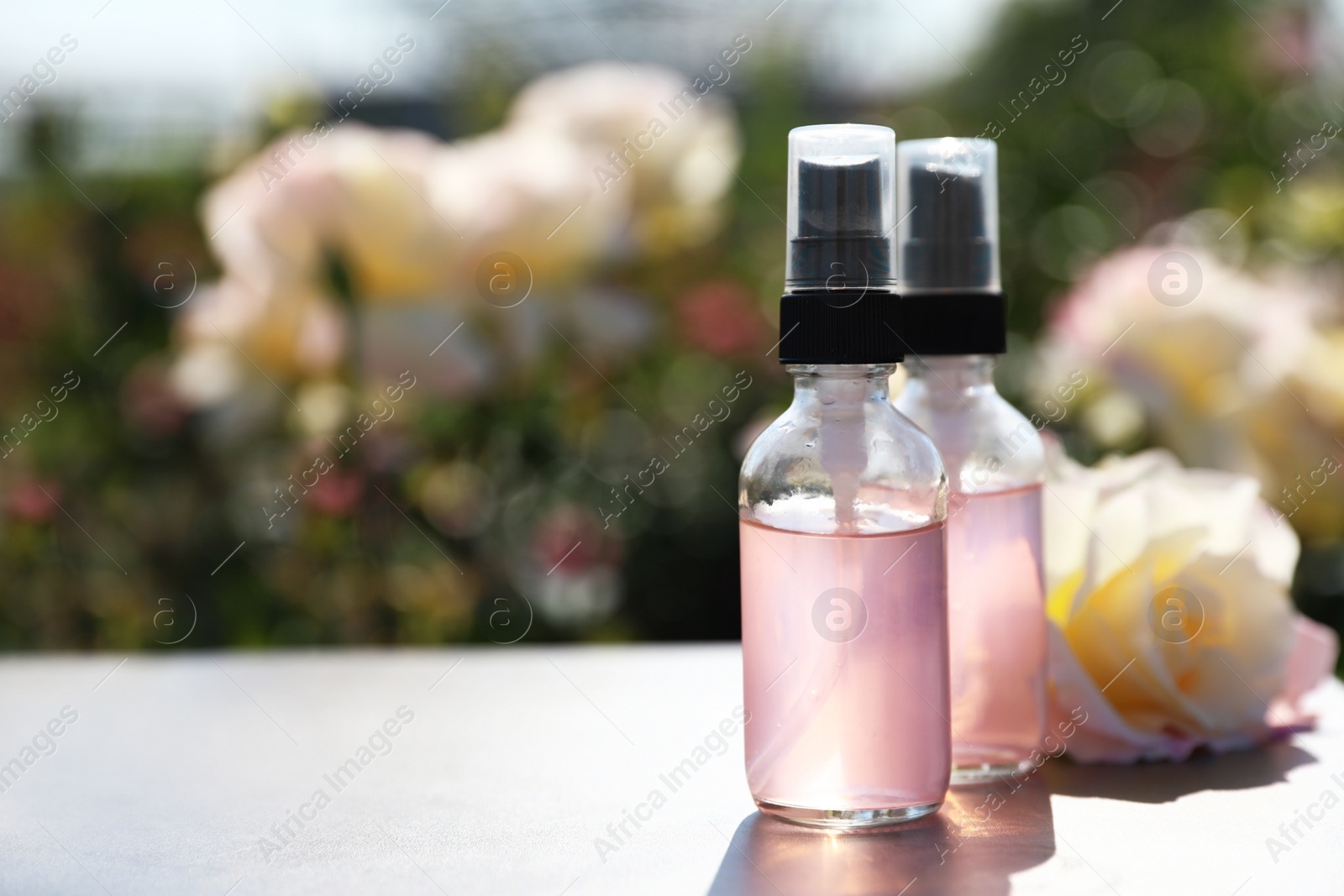 Photo of Bottles of facial toner with essential oil and fresh rose on table against blurred background. Space for text