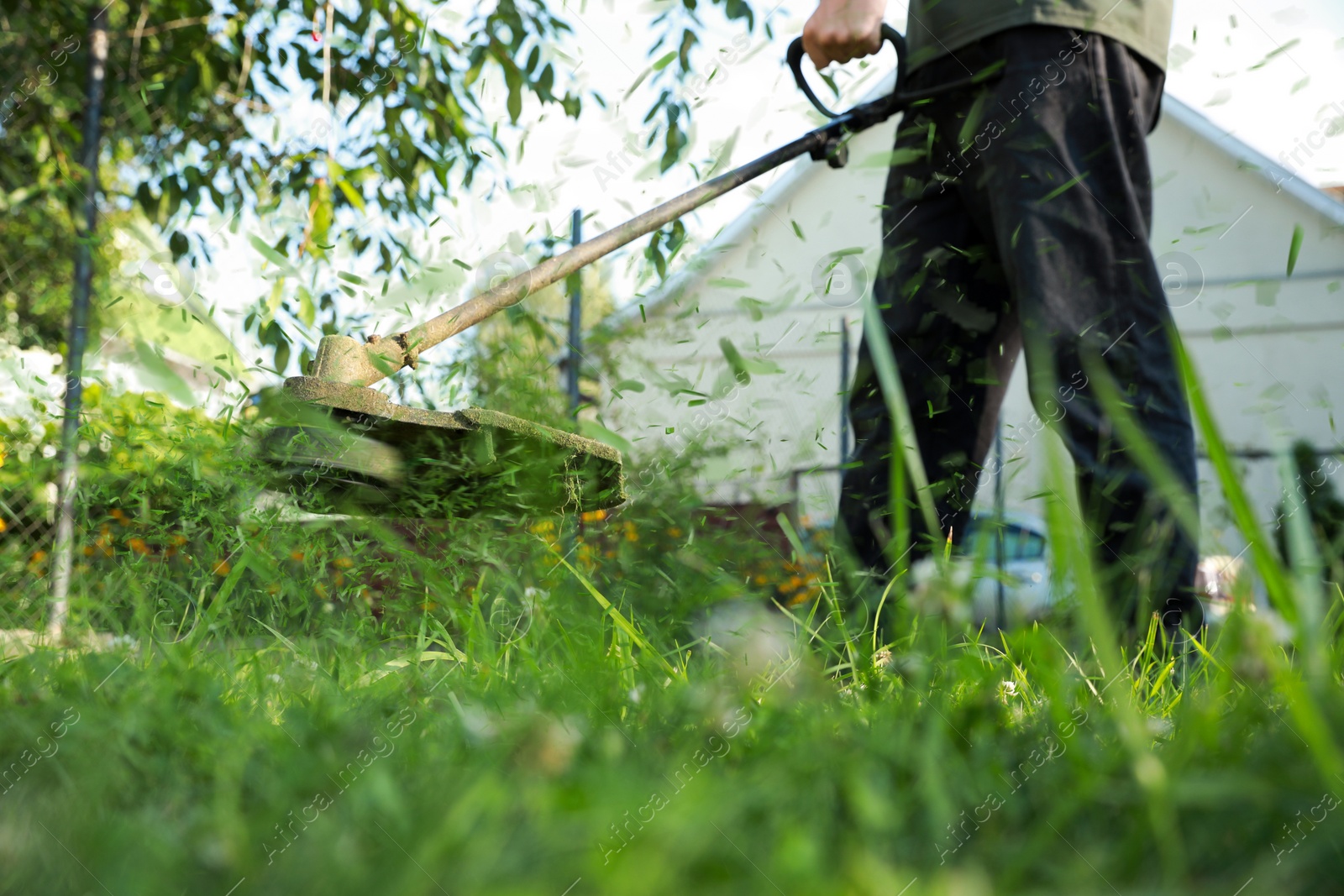 Image of Man cutting green grass with string trimmer outdoors, closeup