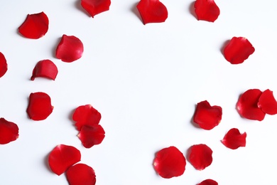 Red rose petals on white background, top view