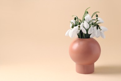 Beautiful snowdrops in vase on beige background, space for text