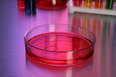 Petri dish with red liquid on table