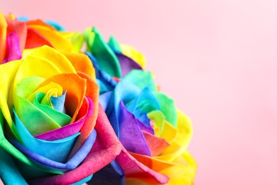 Photo of Amazing rainbow rose flowers on color background