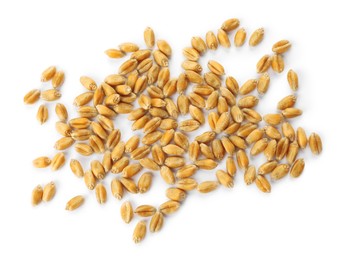 Photo of Pile of wheat grains on white background, top view