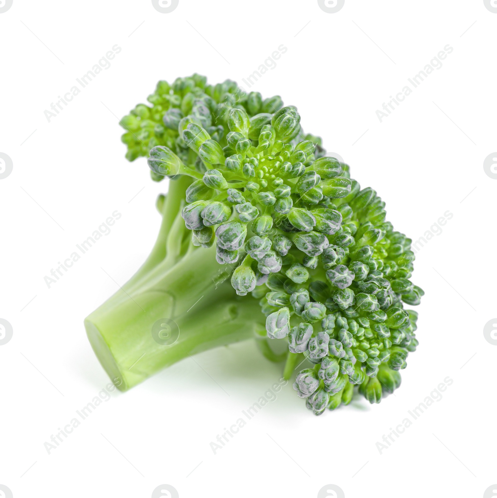 Photo of Fresh green raw broccoli on white background
