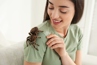 Photo of Woman with striped knee tarantula at home, closeup. Exotic pet