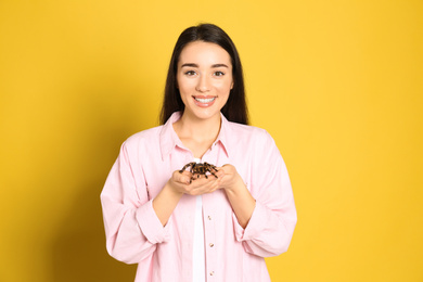 Photo of Woman holding striped knee tarantula on yellow background. Exotic pet