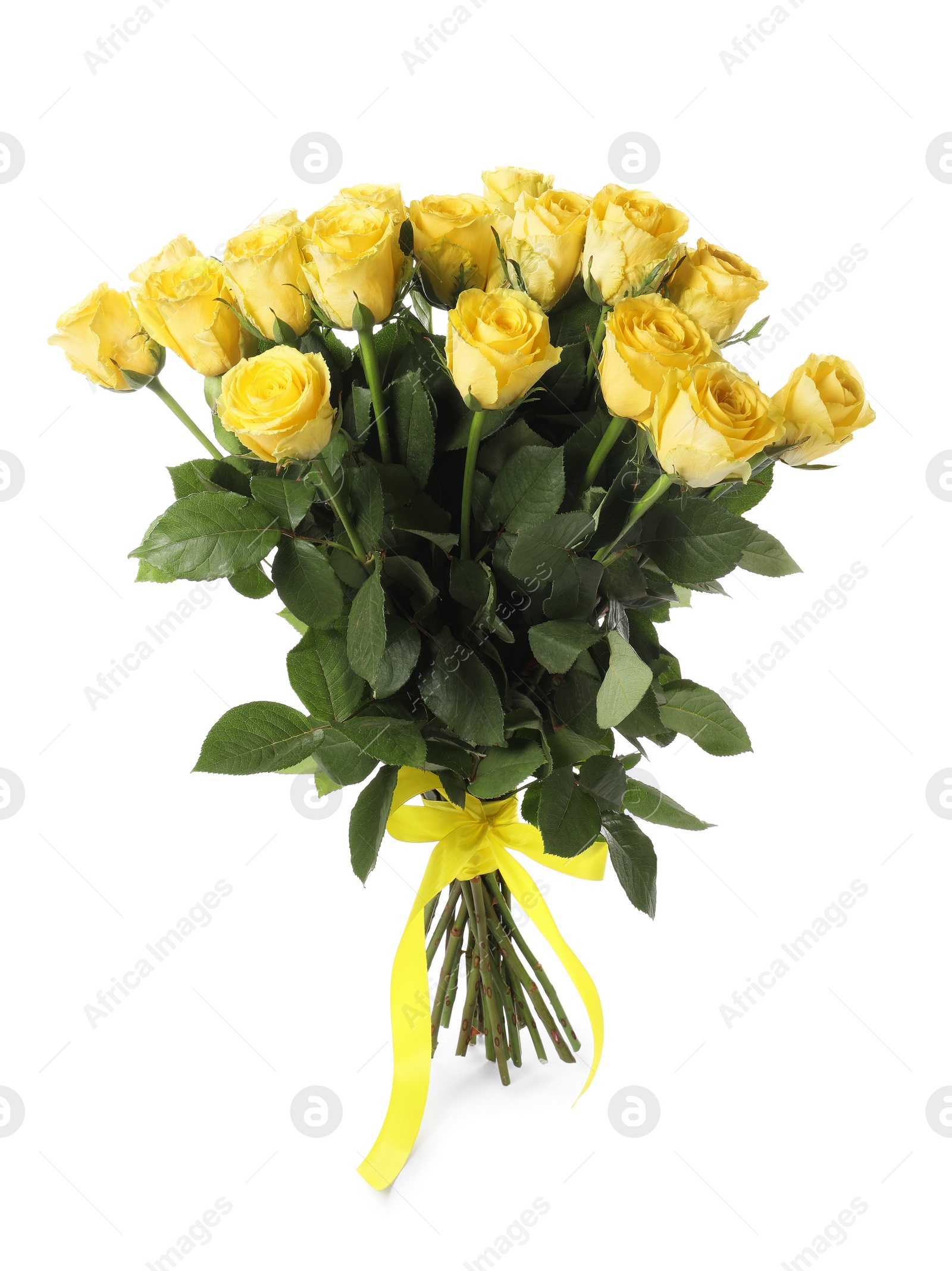 Photo of Beautiful bouquet of yellow roses with ribbon isolated on white