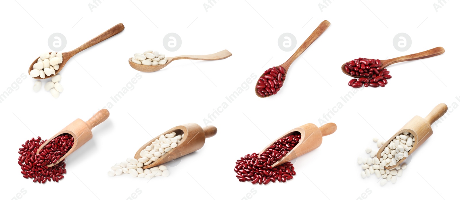 Image of Different raw kidney beans isolated on white. Collection with top and side views