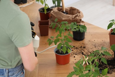Photo of Woman watering seedling in pot at wooden table indoors, closeup