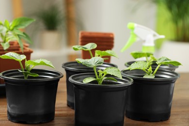 Photo of Seedlings growing in plastic containers with soil on wooden table, closeup