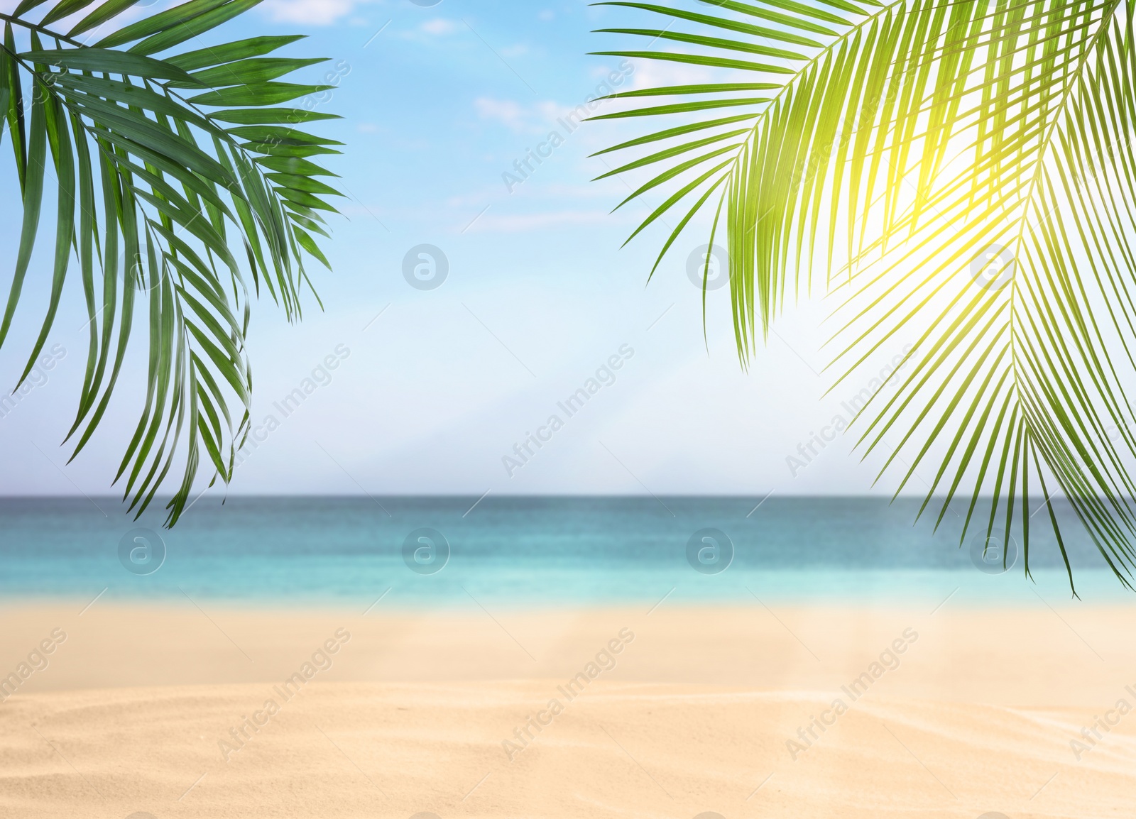 Image of Tropical sandy beach on sunny day, space for text 