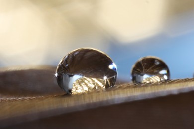 Photo of Macro photo of water drops on brown feather against blurred background